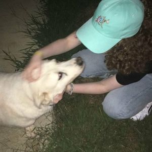 Meet your Posher, Bethany